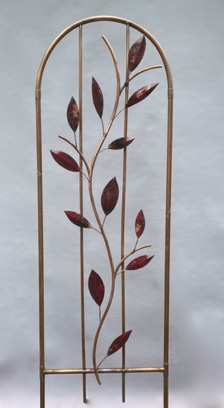 MD - red Willow leaves